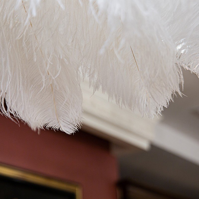 L03408.02 Подвесная люстра L'Arte Luce Luxury Feather Lamp L03408.02