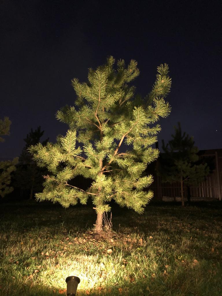 SP-33005 Грунтовый светильник Covali SP-33005