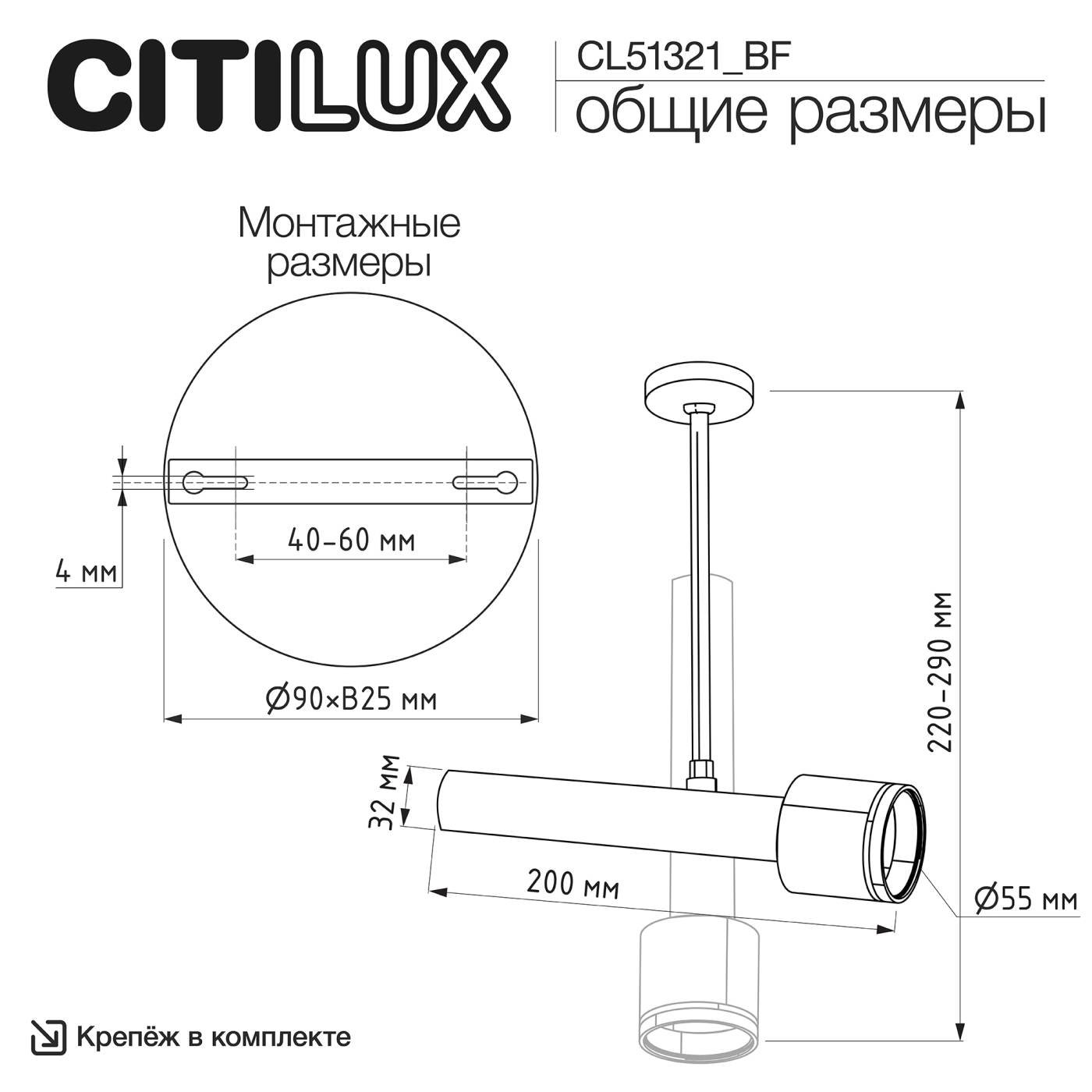 CL51321_BF Потолочный спот на штанге VEKTOR Citilux CL51321_BF