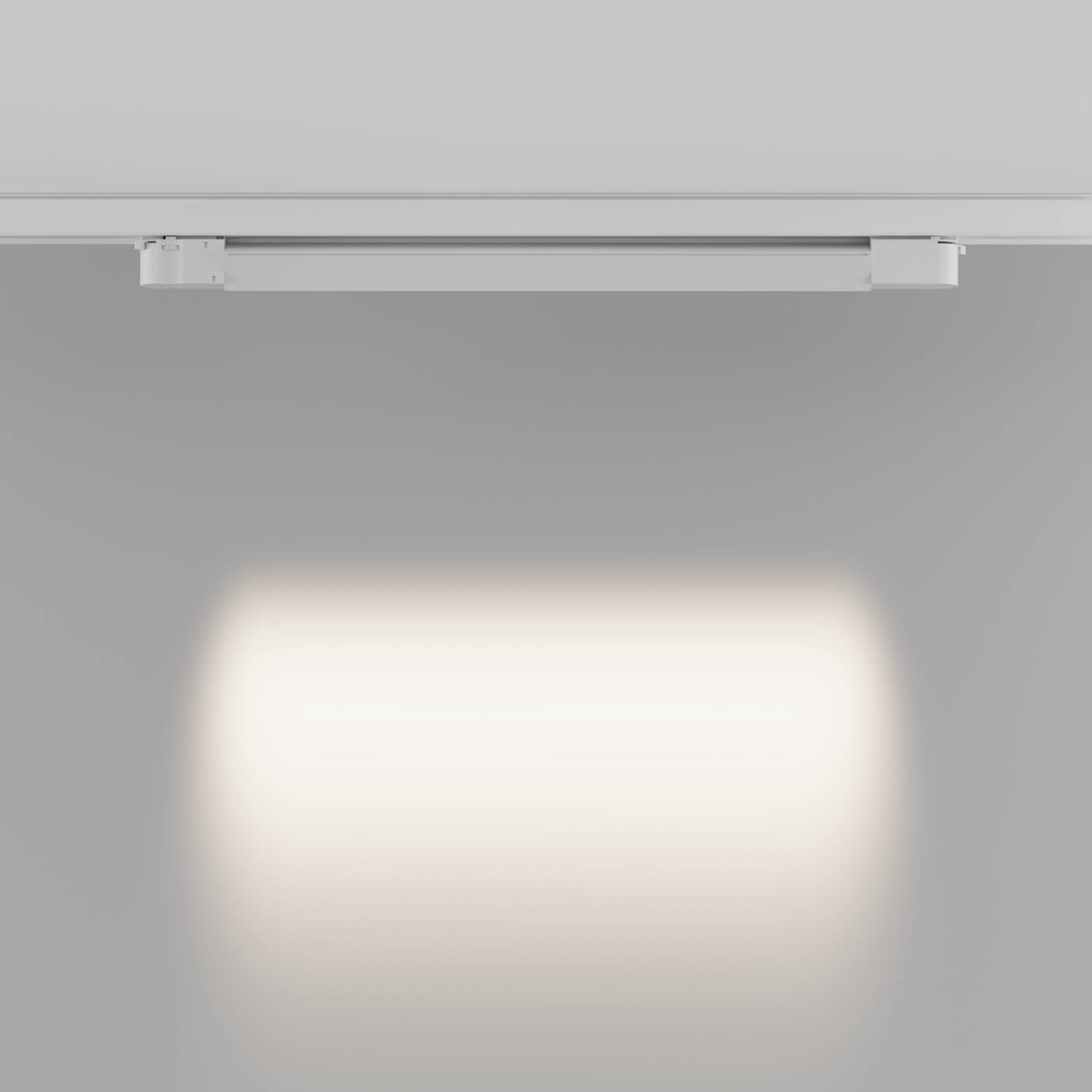 Трековый светильник Maytoni Points TR195-3-20W4K-M-W