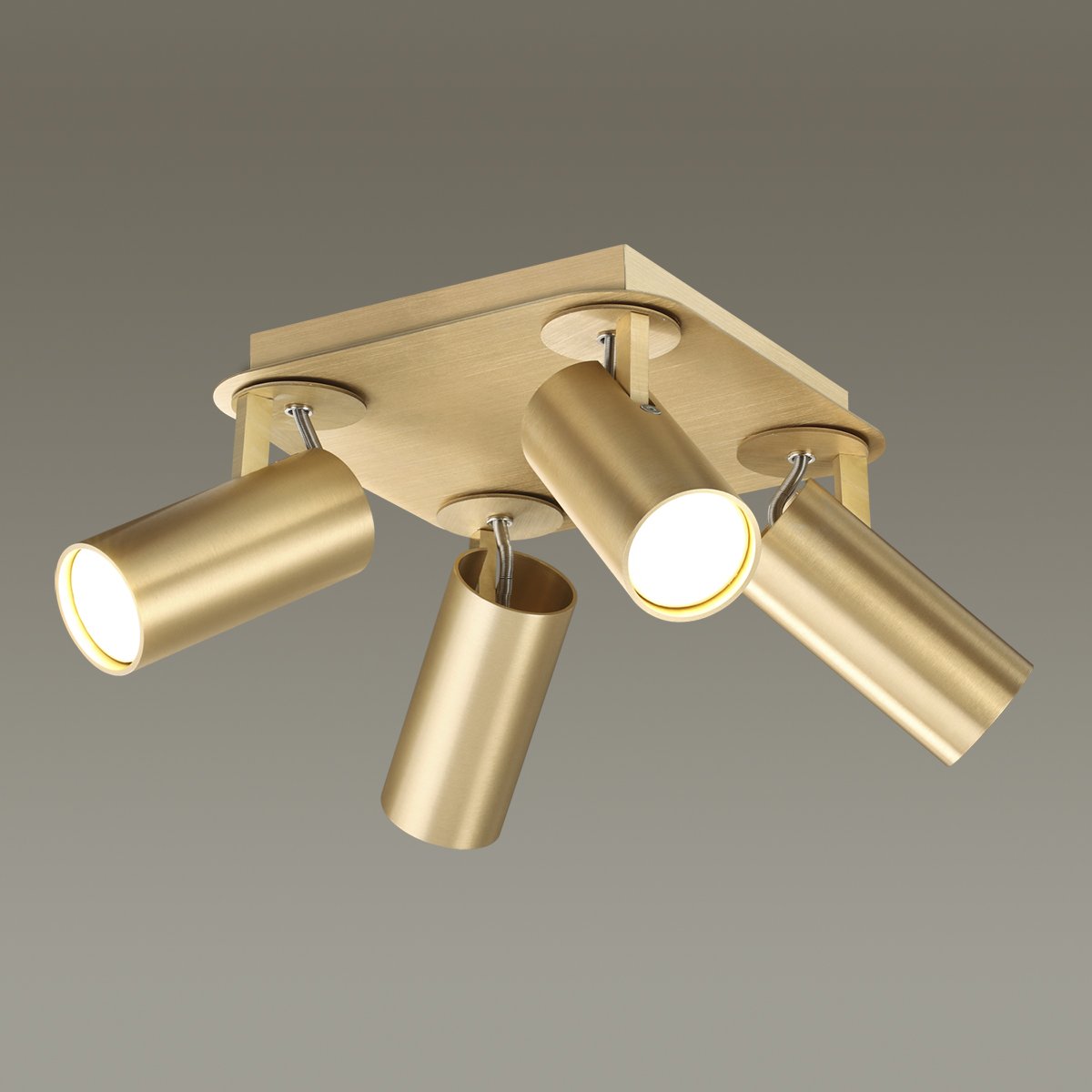 Светильник спот Odeon Light Corse 3876/4C