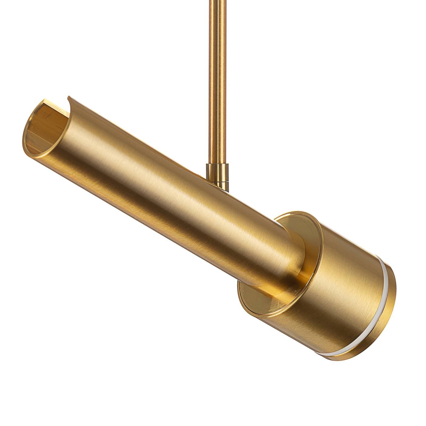 Потолочный спот на штанге VEKTOR Citilux CL51332_BL