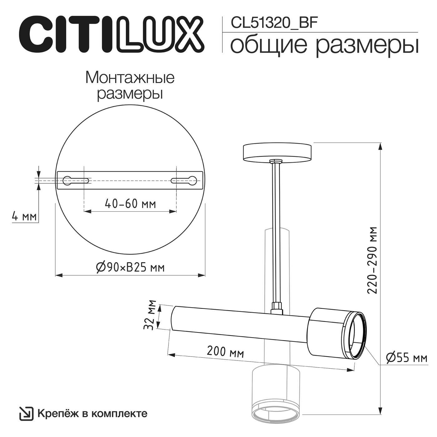 CL51320_BF Потолочный спот на штанге VEKTOR Citilux CL51320_BF