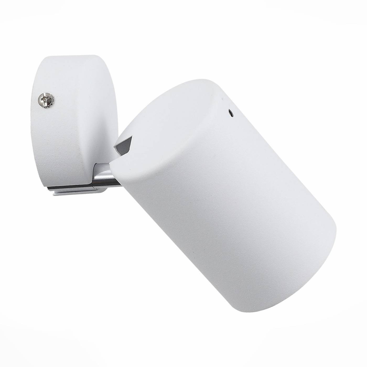 SL597.501.01 Светильник спот ST Luce Fanale SL597.501.01