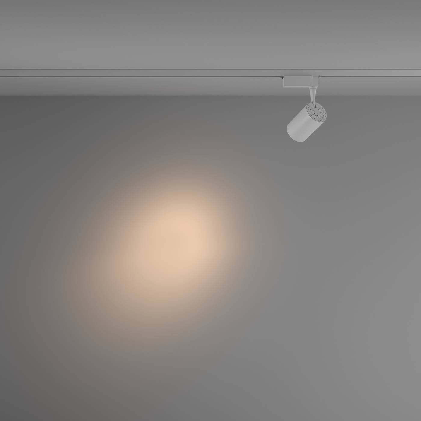 Трековый светильник Maytoni Vuoro Unity TR003-1-10W3K-S-W