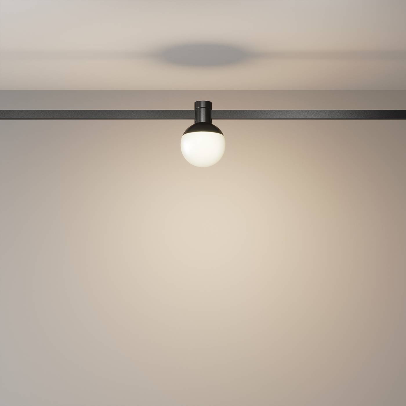 Трековый светильник Maytoni Luna TR149-1-5W3K-B