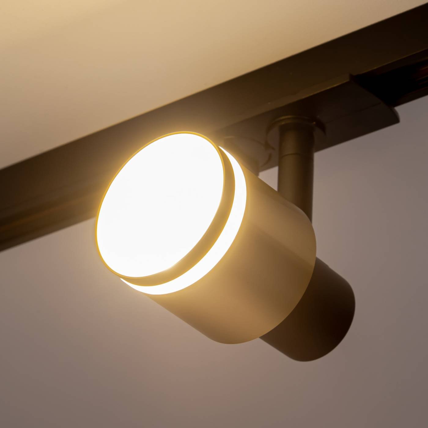 CL565T14 Трековый светильник Citilux Bruno CL565T14