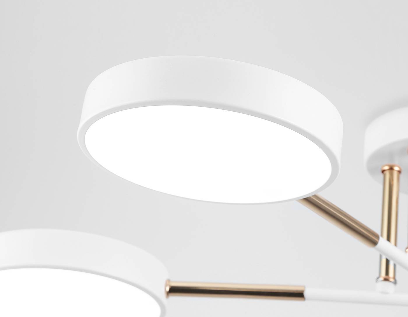 FL516331 Потолочная люстра Ambrella LineTech FL516331