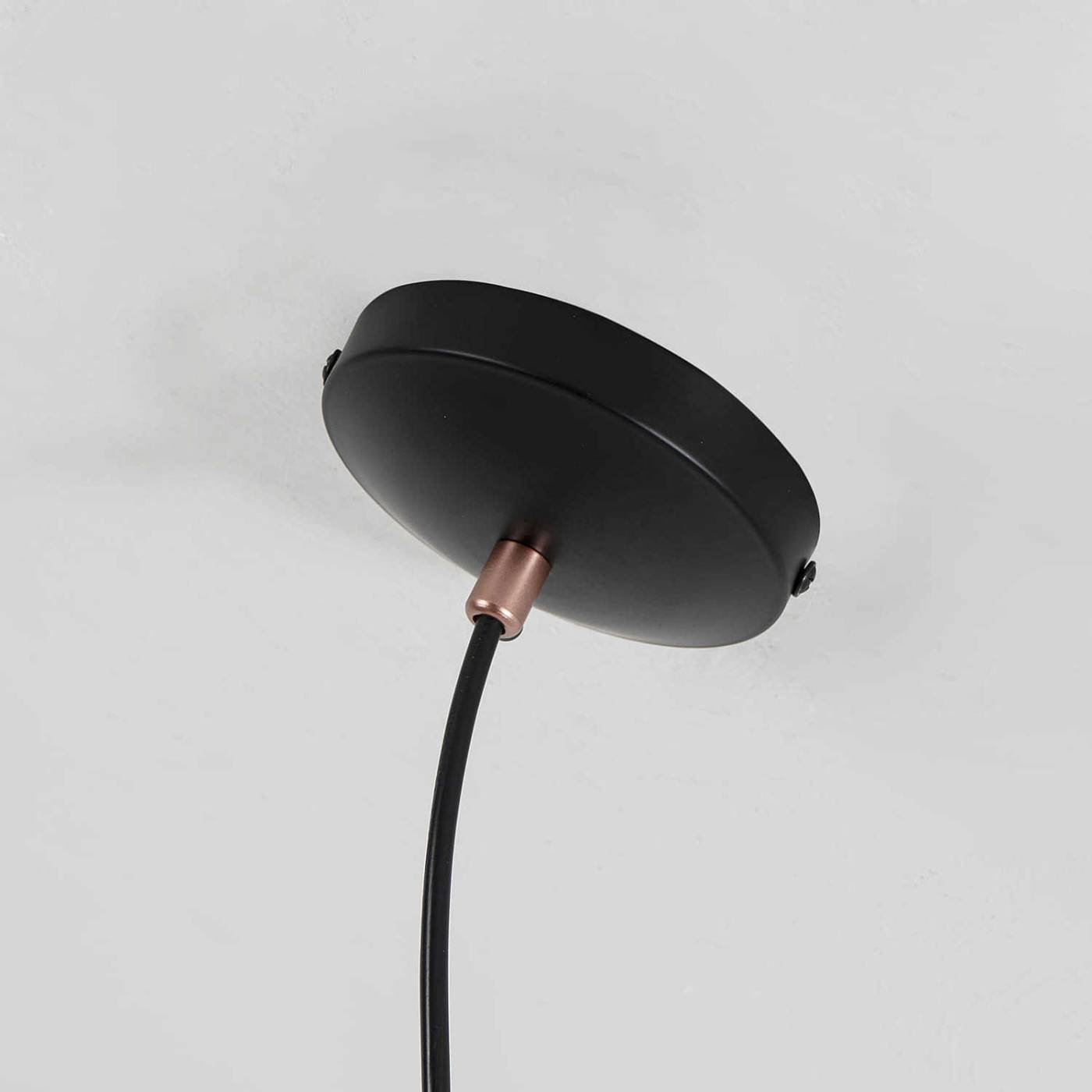 2007-1P Светильник подвесной Favourite Ampolla 2007-1P