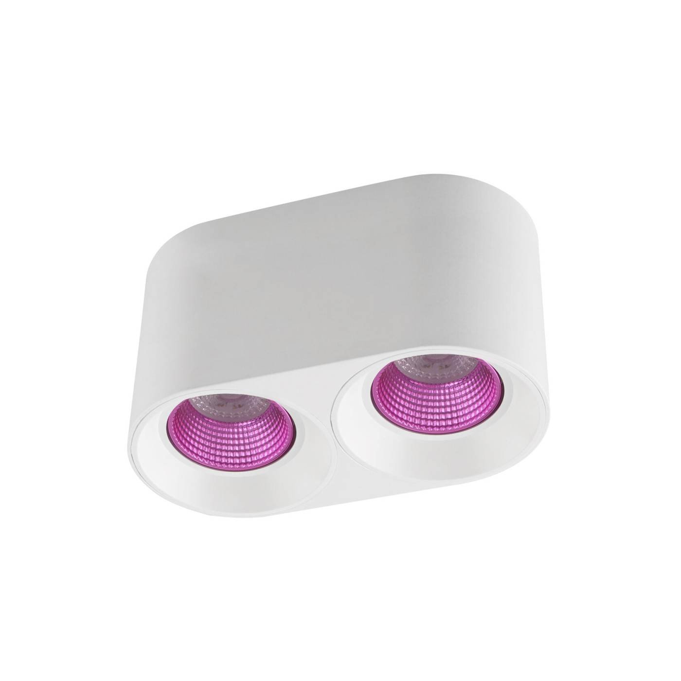 DK3096-WH+PI Накладной светильник Denkirs Dk3020Wpi DK3096-WH+PI