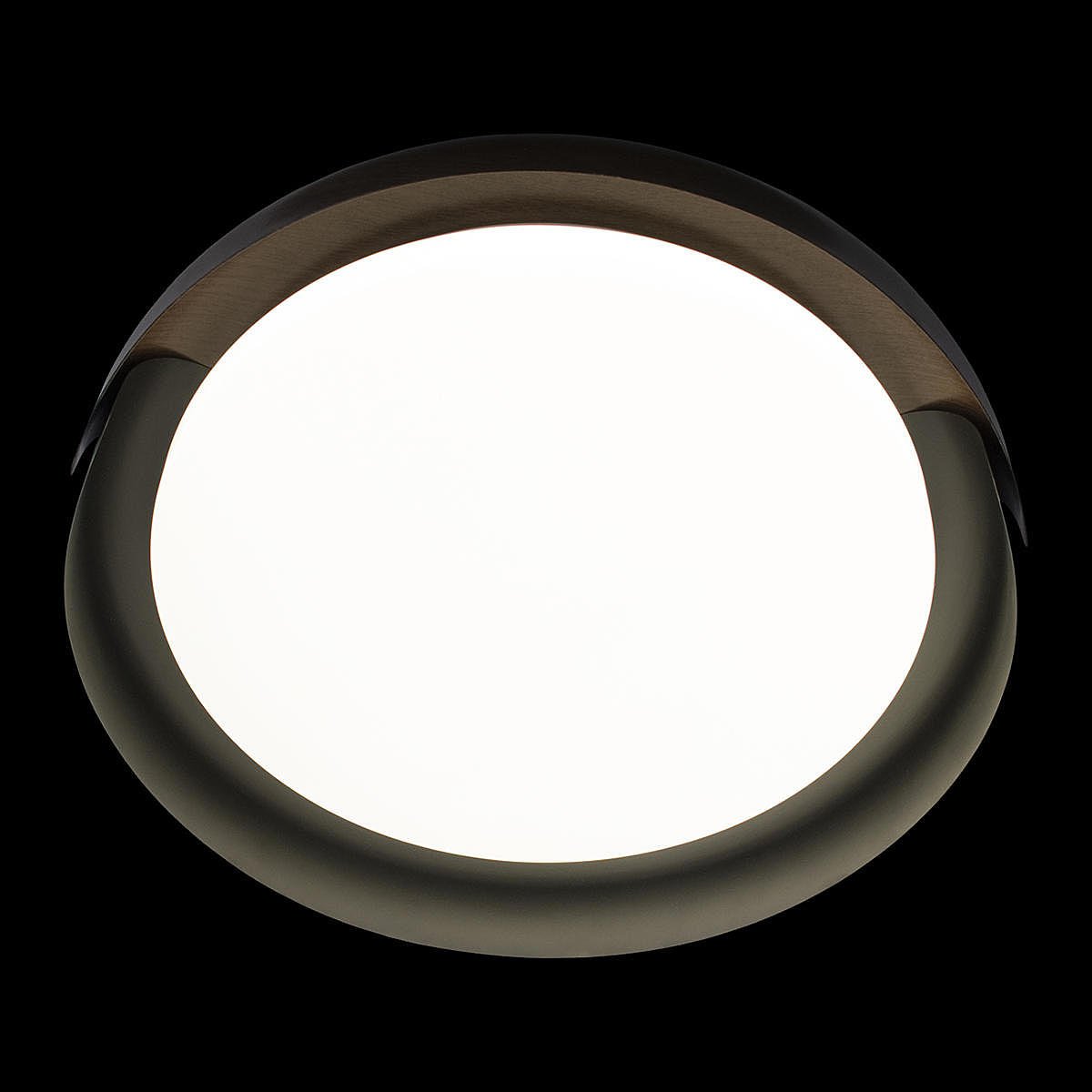 10198 Black Светильник потолочный Loft It Coin 10198 Black