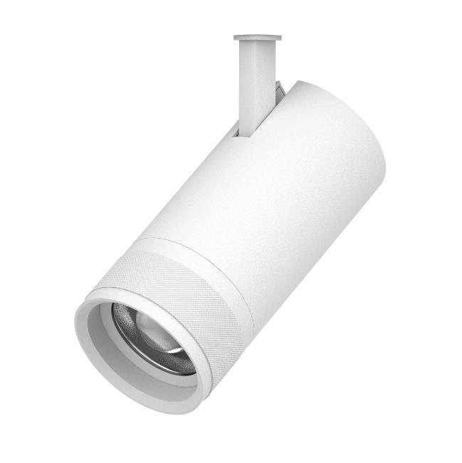 Светильник профессиональный тушка BARRA/QUATTRO Lightstar Canno Pro 304306