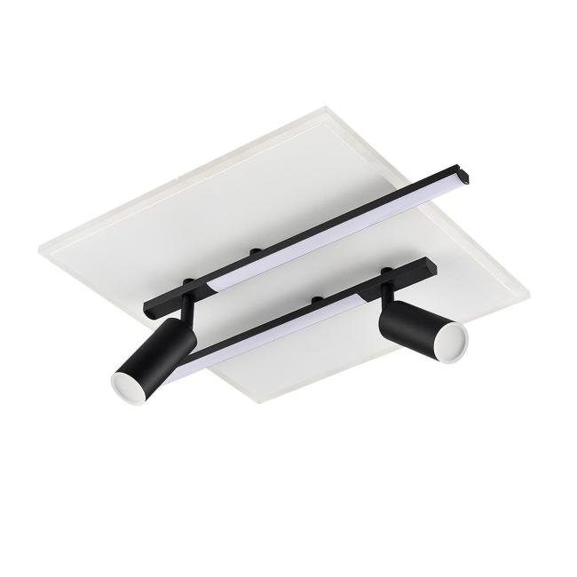 Светильник потолочный Lumion Stells 8256/40CL