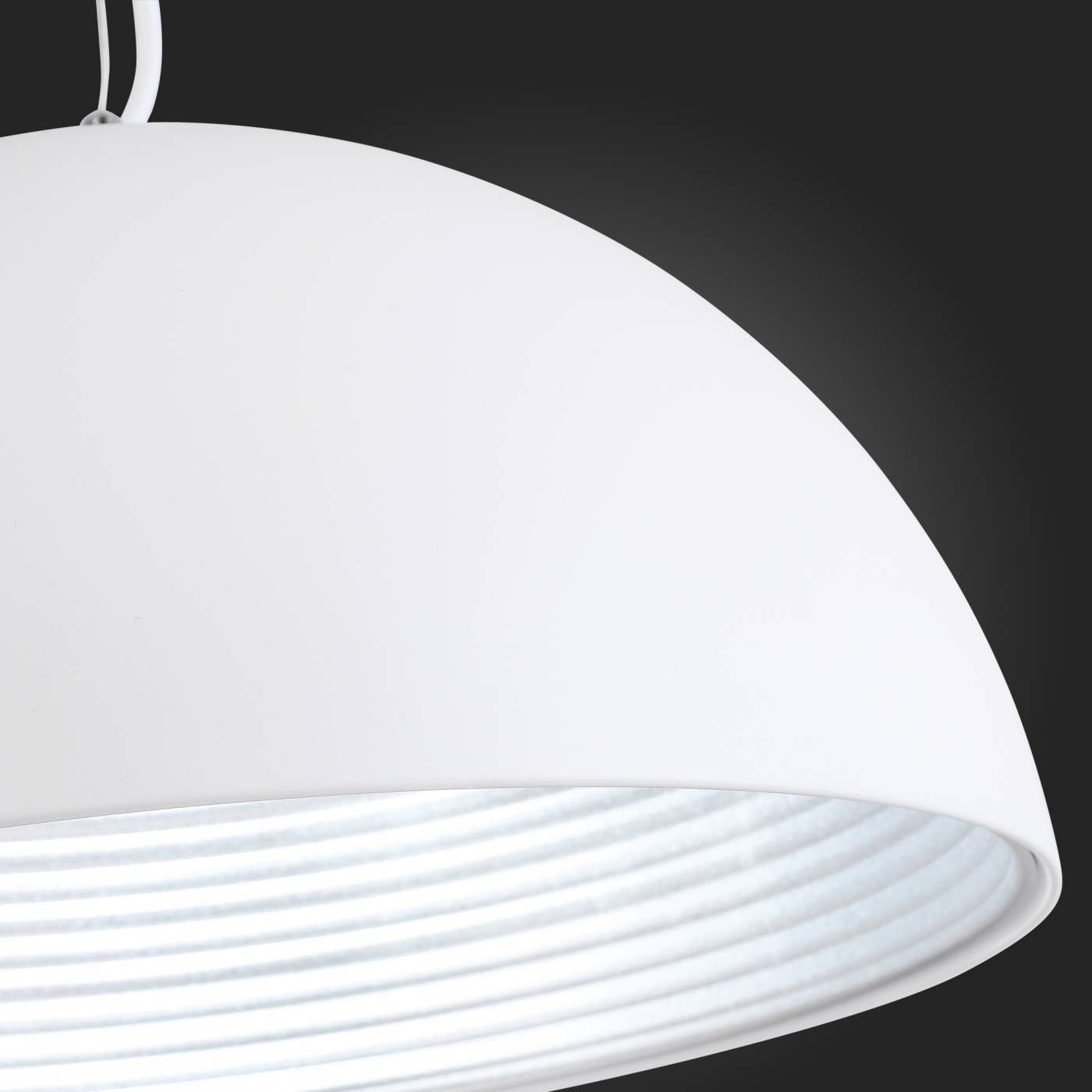SL279.503.01 Светильник подвесной ST Luce SL279.503.01