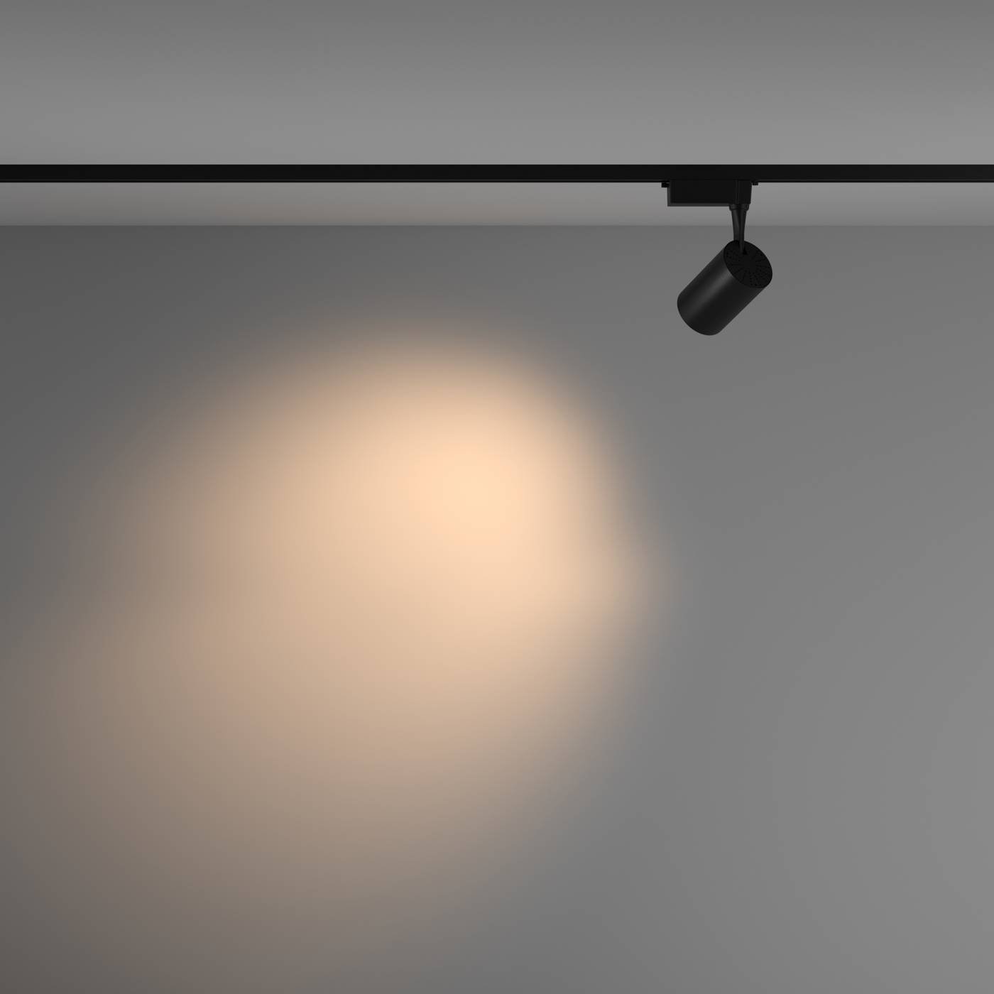 TR003-1-10W3K-M-B Трековый светильник Maytoni Vuoro Unity TR003-1-10W3K-M-B