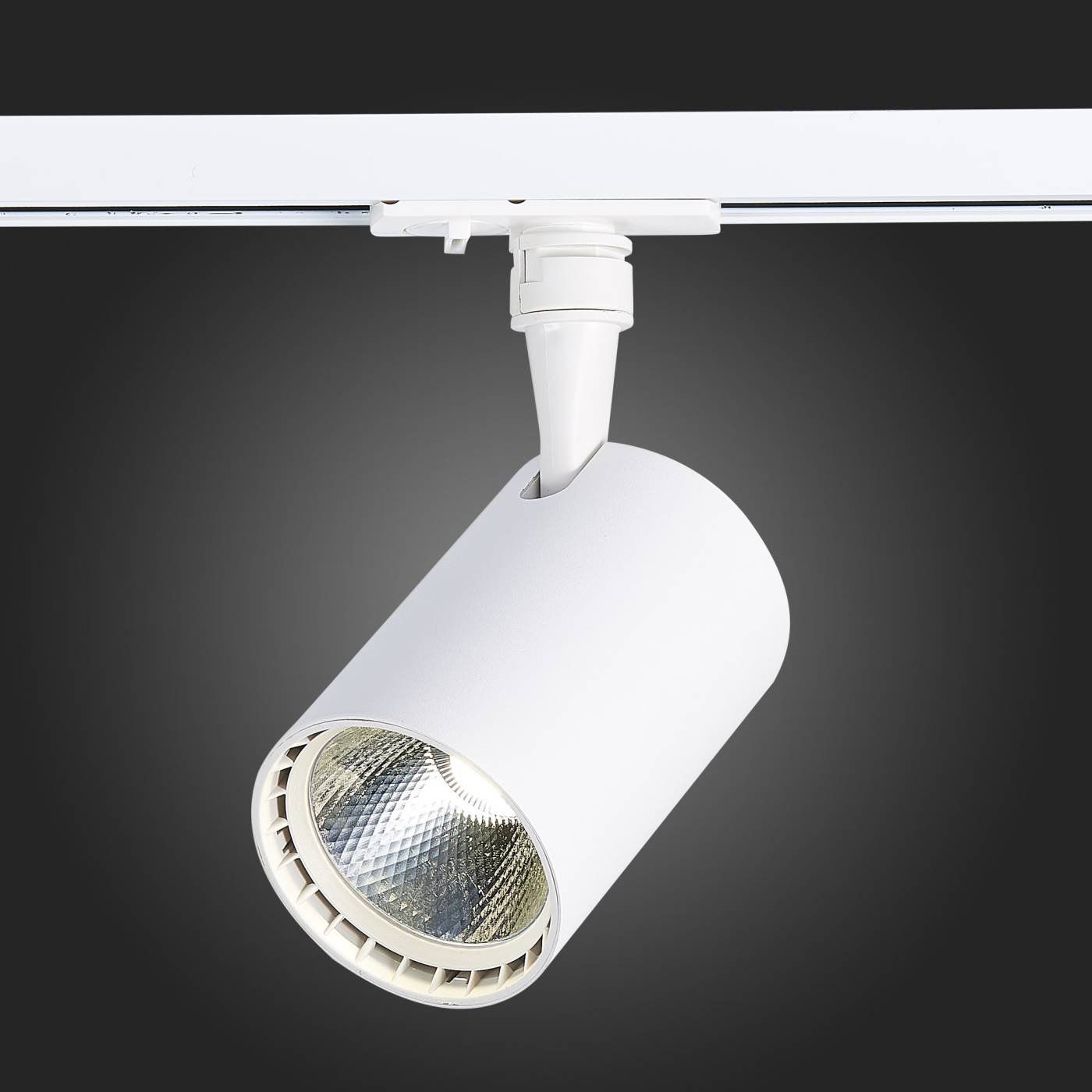 ST351.546.15.36 Трековый светильник ST Luce Cami ST351.546.15.36
