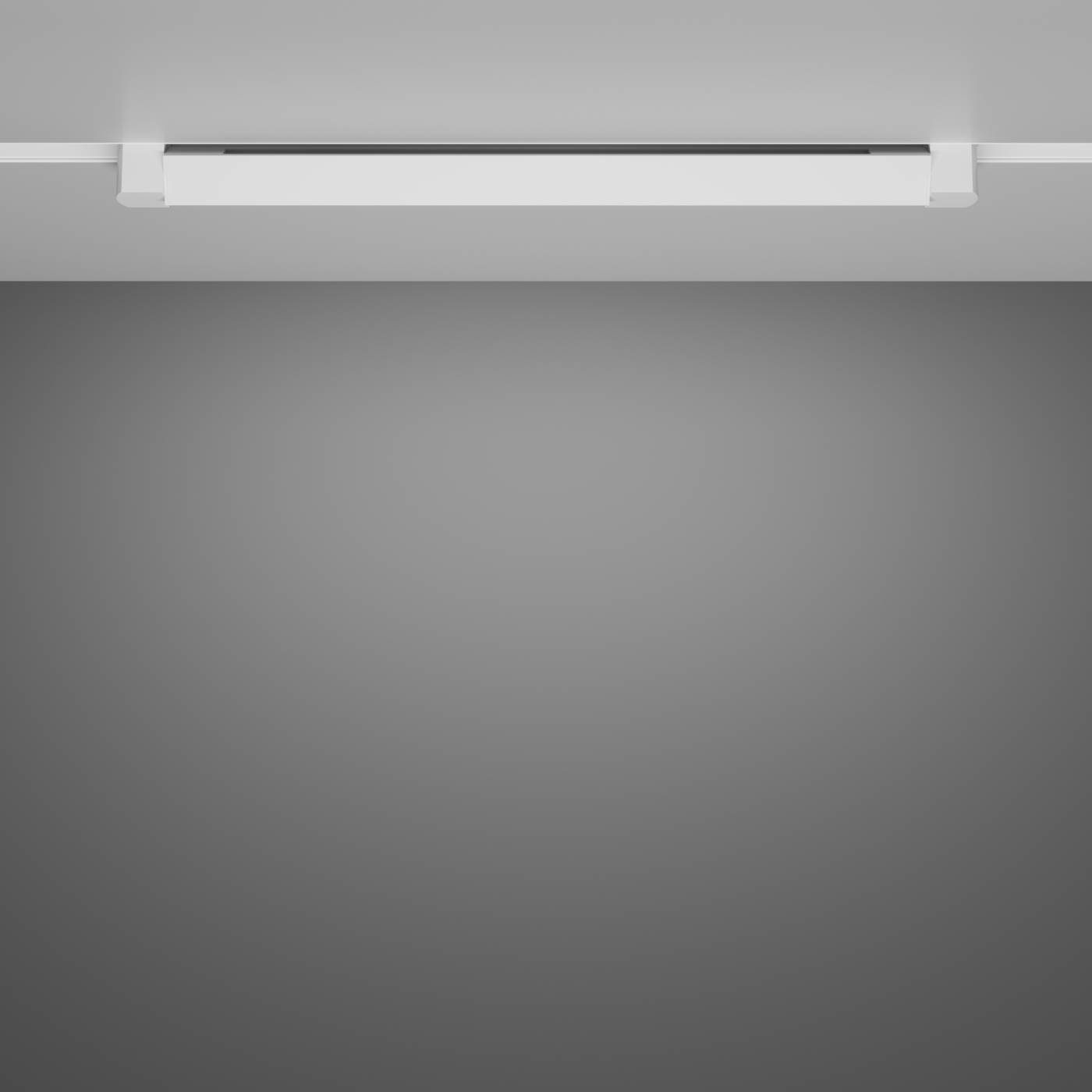 Трековый светильник Maytoni Basis Rot Unity TR104-1-20W4K-W