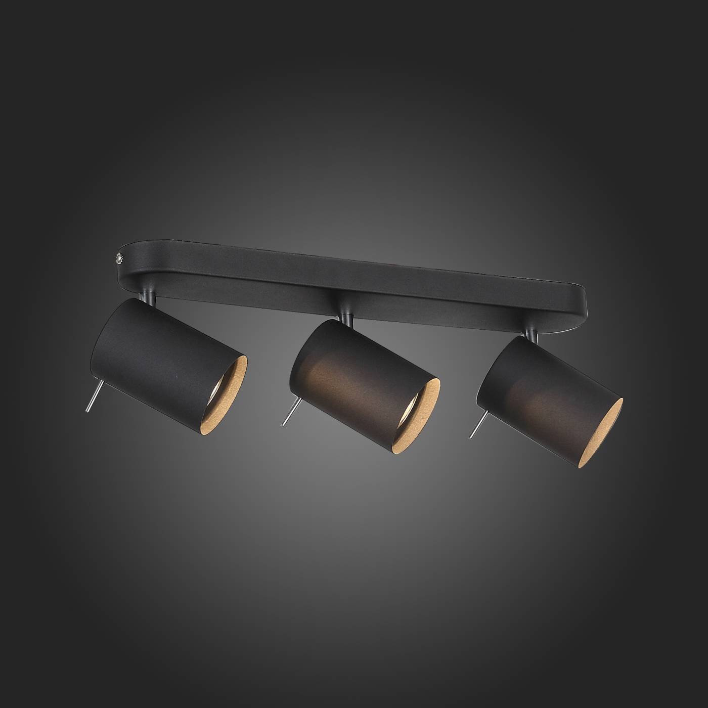 SL597.401.03 Светильник спот ST Luce Fanale SL597.401.03