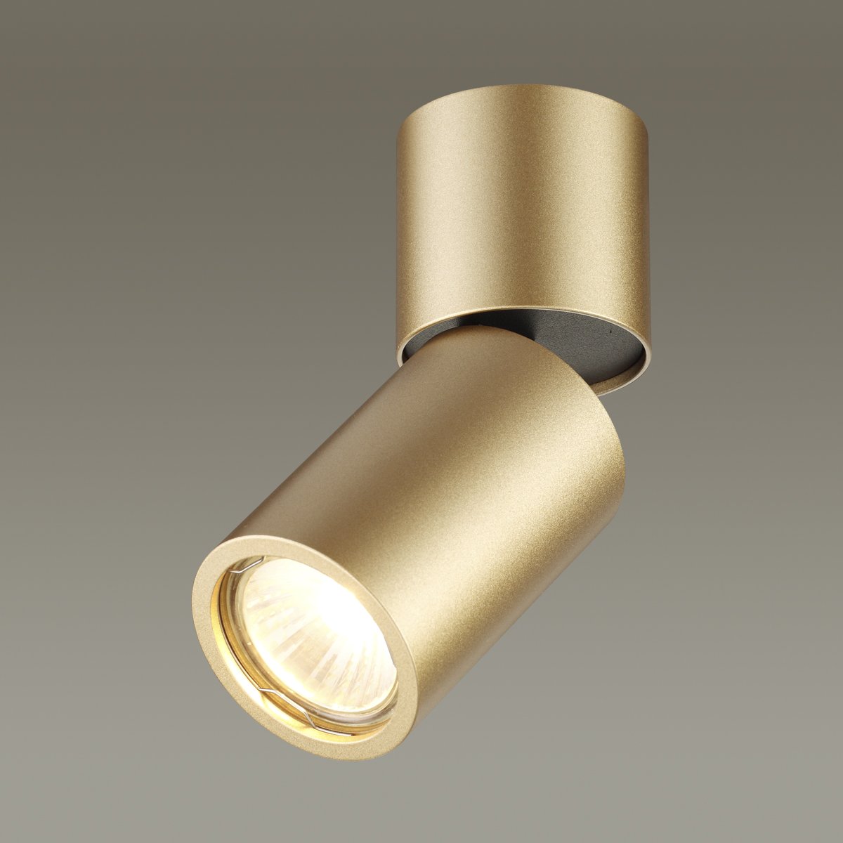 Накладной светильник Odeon Light Duetta 3895/1C
