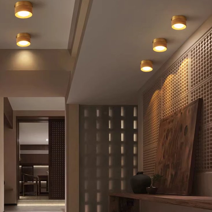 243482-22 Потолочный светильник ImperiumLoft 243482-22
