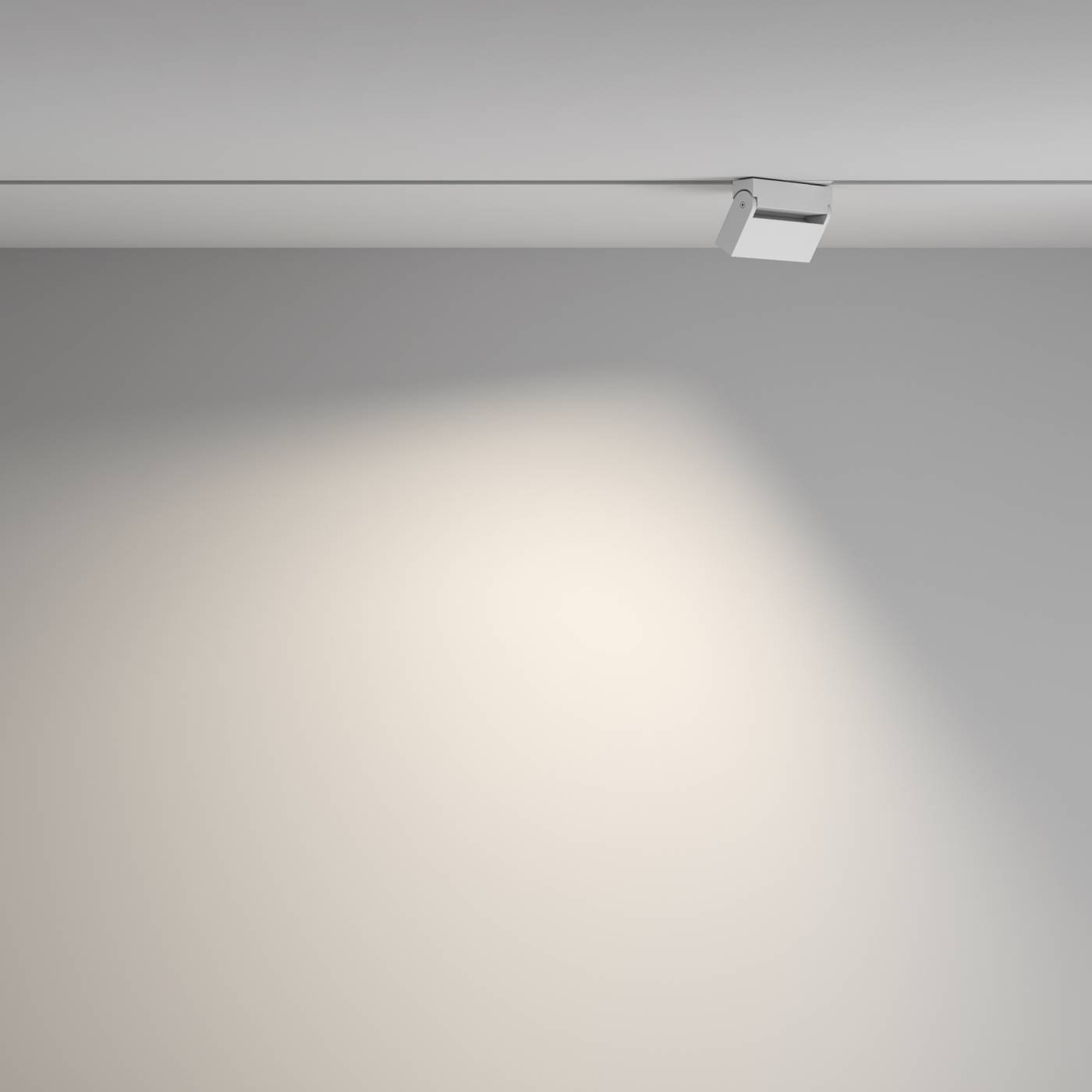 Трековый светильник Maytoni Points Rot Gravity TR077-2-10W4K-W