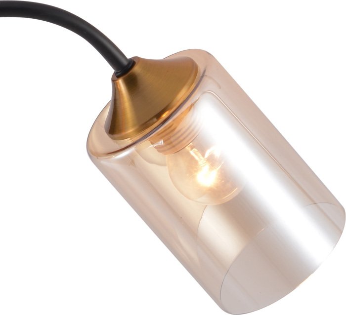 Потолочная люстра 01608-0.3-02 BK+BRASS