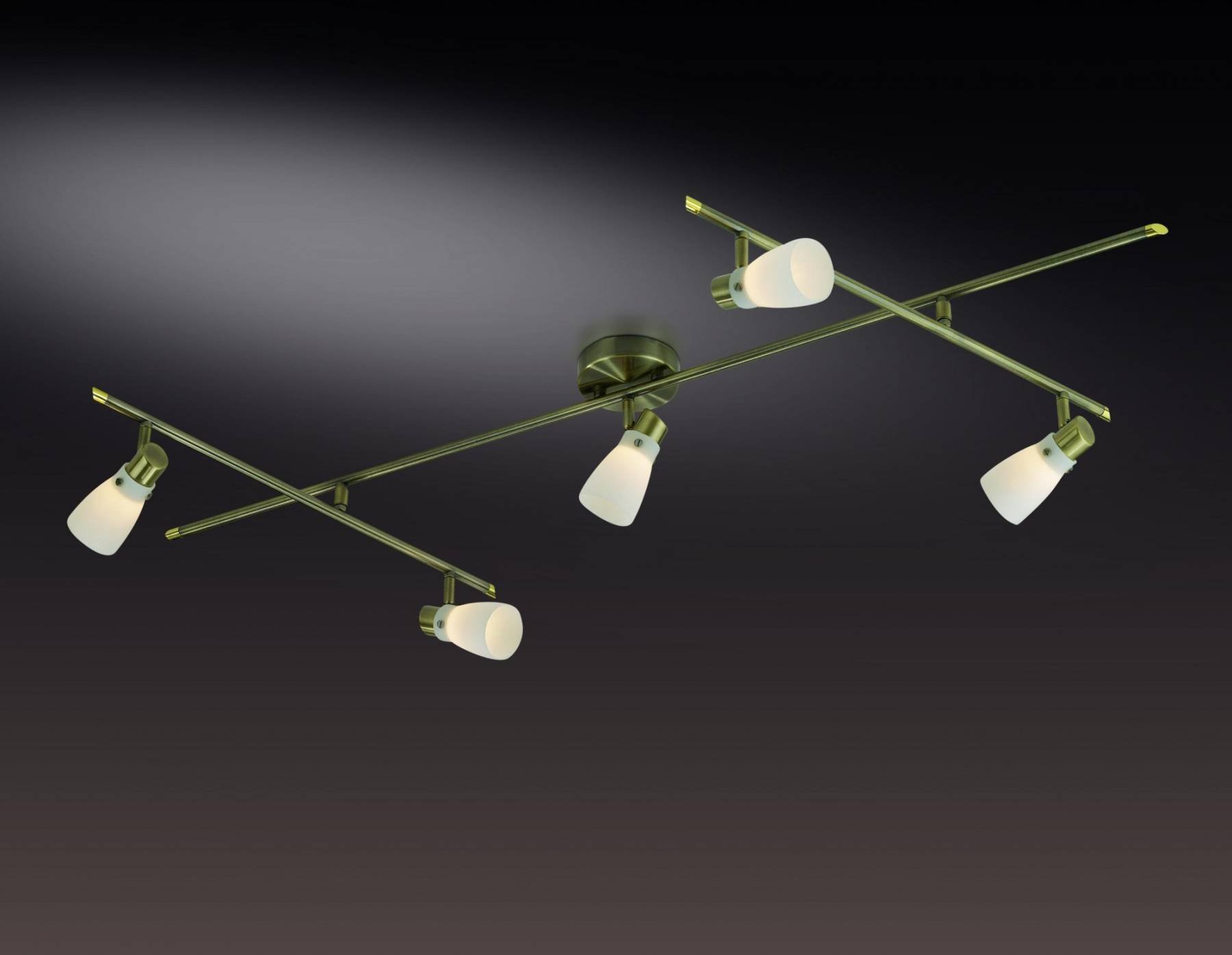 2065/5C Светильник спот Odeon Light TERZA 2065/5C