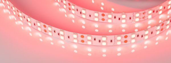 LED лента Arlight RT открытая 011258