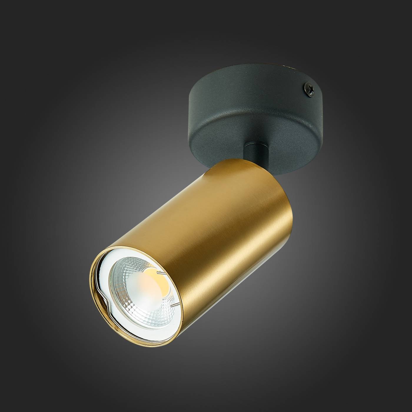 Накладной светильник ST Luce ST303 ST303.202.01