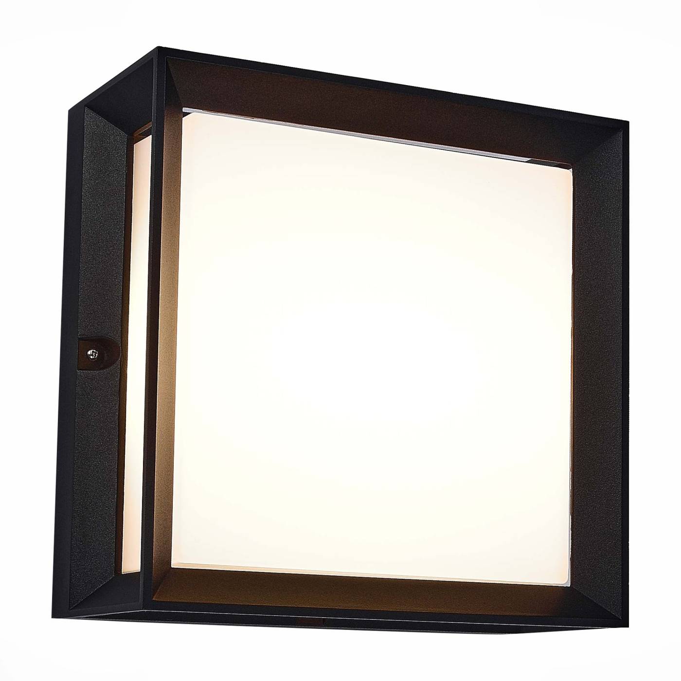 SL077.402.01 Уличные потолочные ST Luce Cubista SL077.402.01