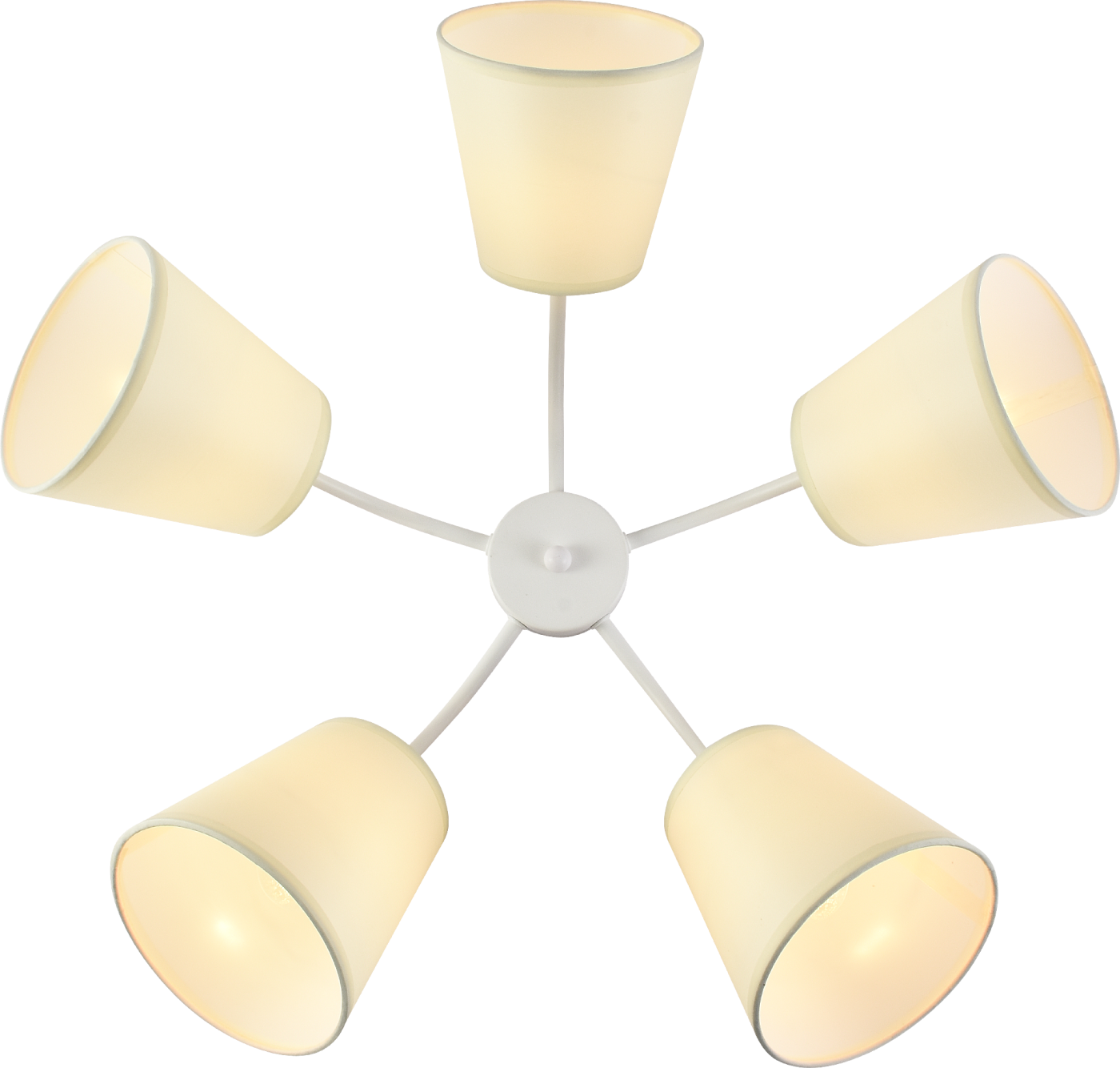 Потолочная люстра Rivoli Aimee 9162-305