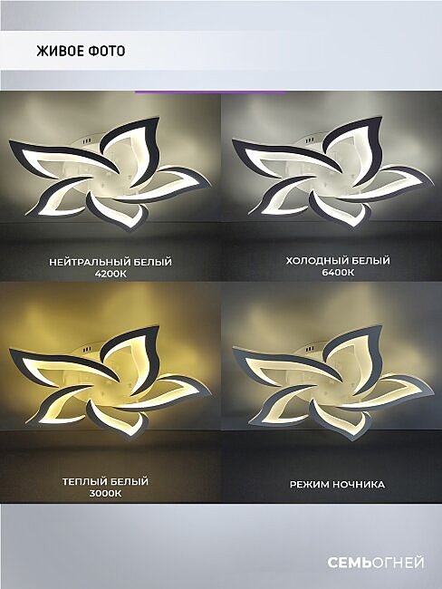 SF5018/5C-WT Потолочная люстра Seven Fires Lorens SF5018/5C-WT