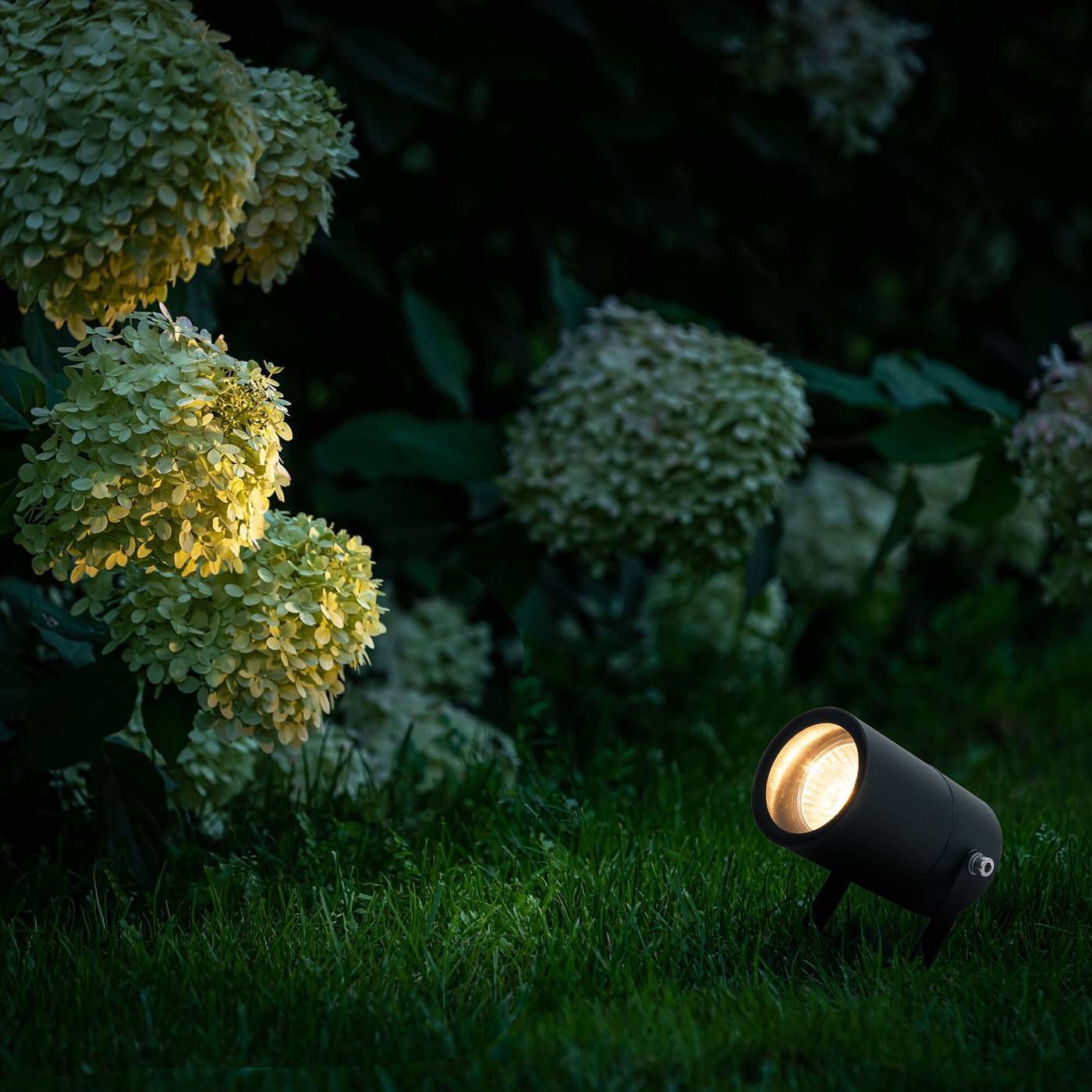 Landscape черный (35146/S) Грунтовый светильник Elektrostandard Landscape Landscape черный (35146/S)