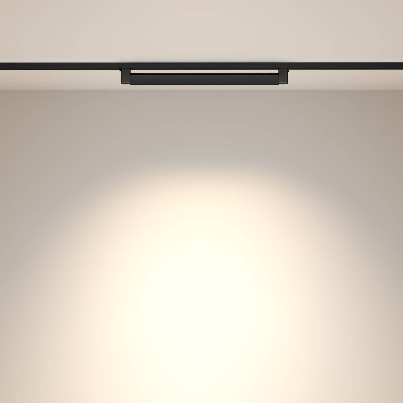 TR010-1-20W3K-M-B Трековый светильник Maytoni Points Rot Unity TR010-1-20W3K-M-B