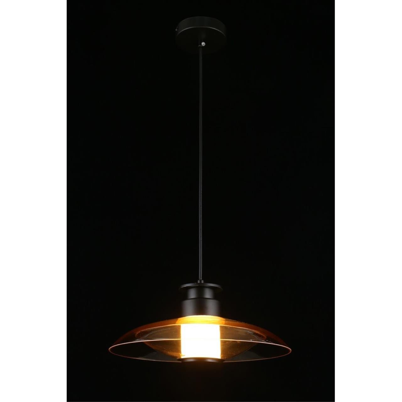 Светильник подвесной Aployt Stefa APL.648.16.10