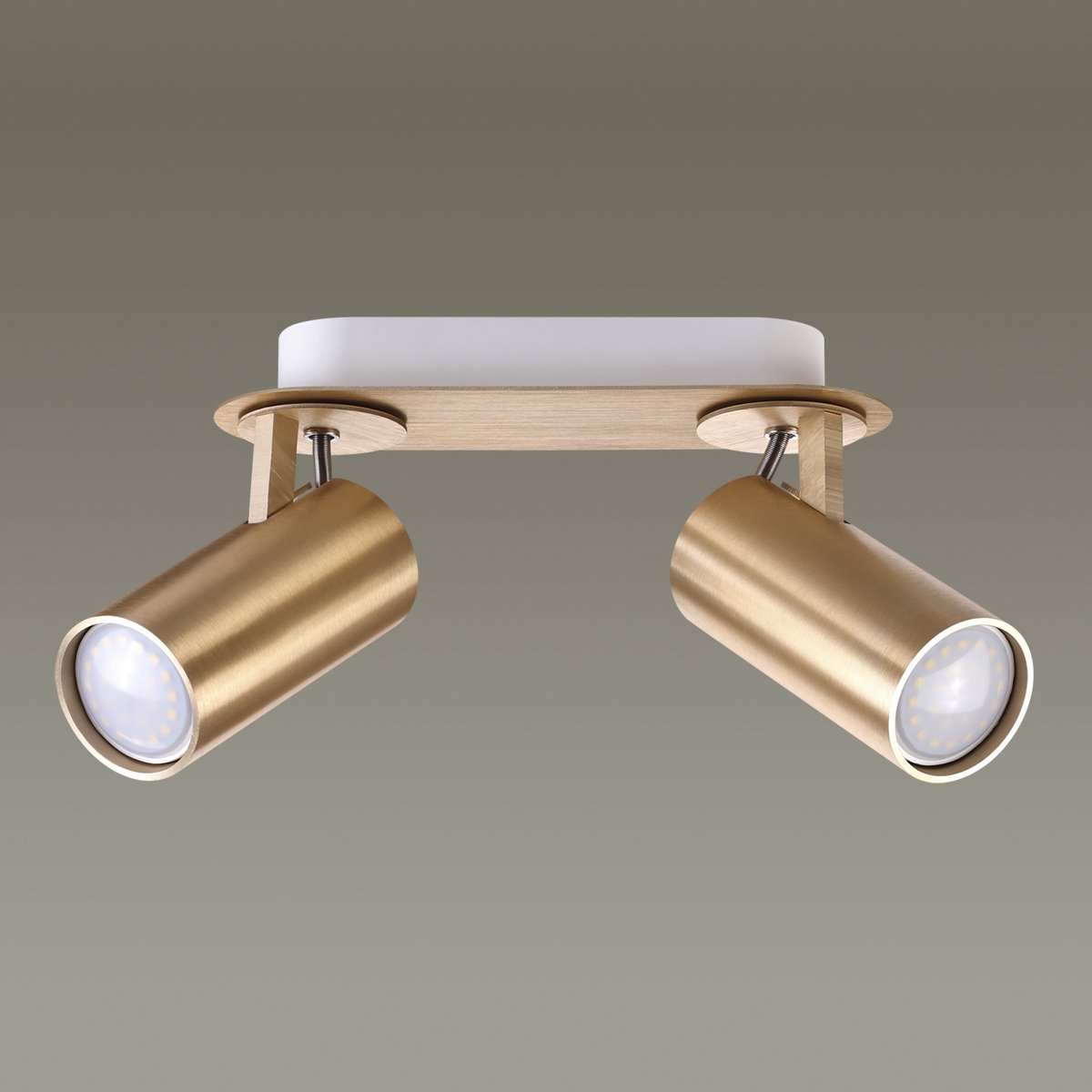 Светильник спот Odeon Light Corse 3876/2C