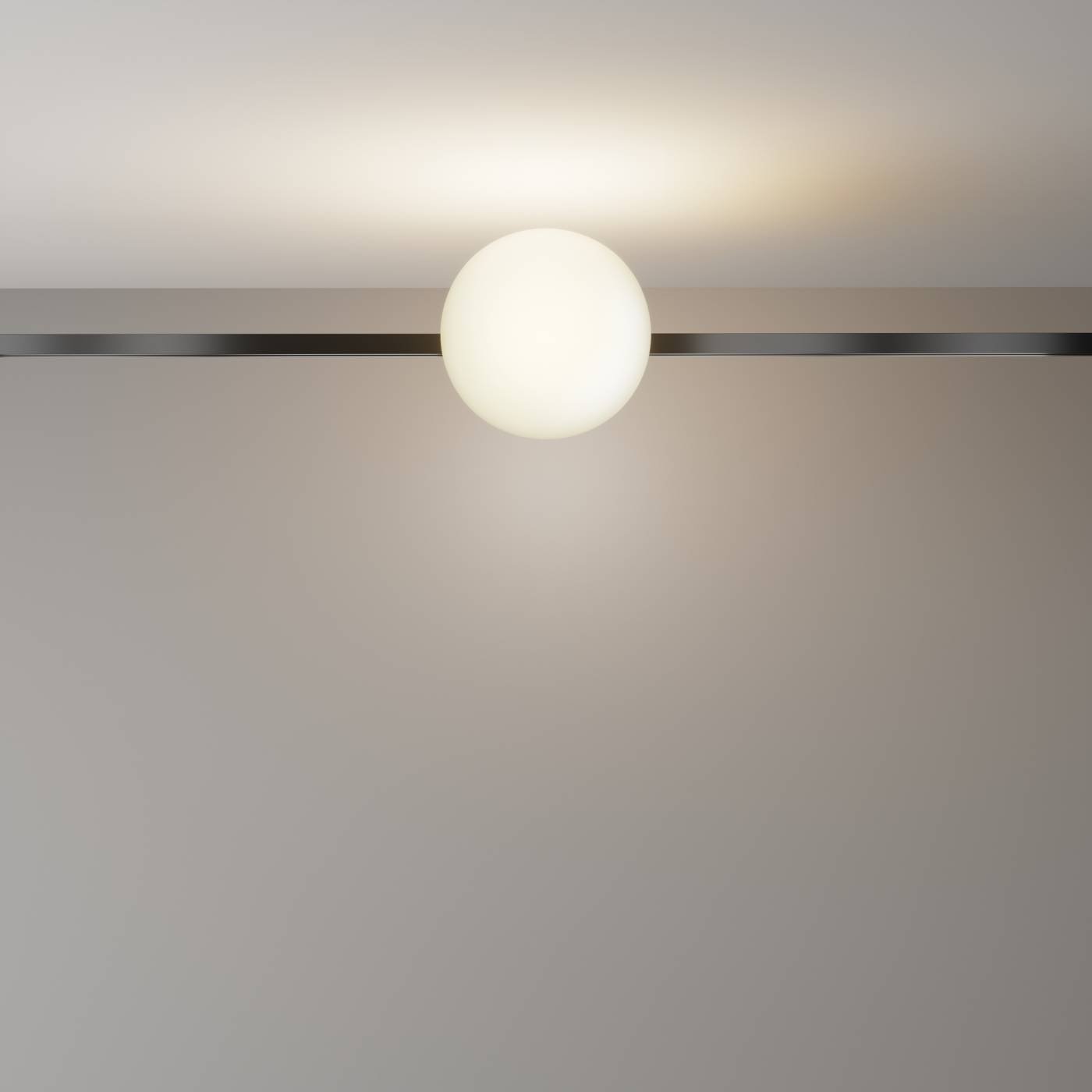 TR229-1-8W3K-B Трековый светильник Luna Maytoni TR229-1-8W3K-B