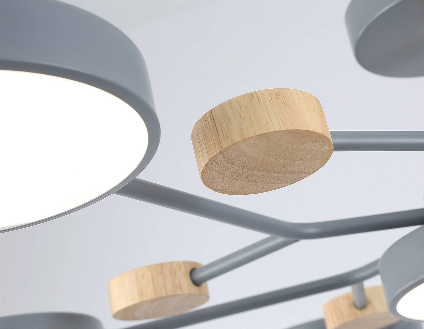 FL4865 Потолочная люстра Ambrella LineTech FL4865