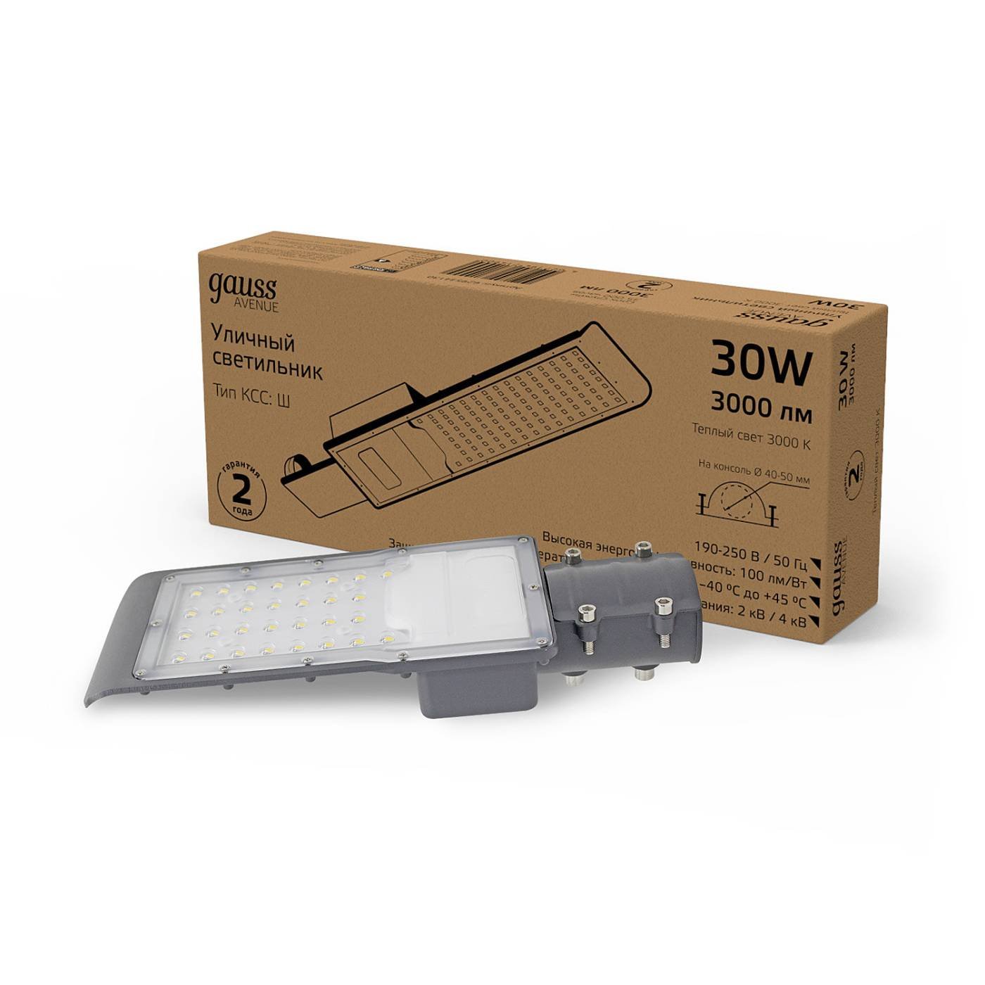 629534130 Консольный уличный светильник Gauss Avenue 3000 629534130
