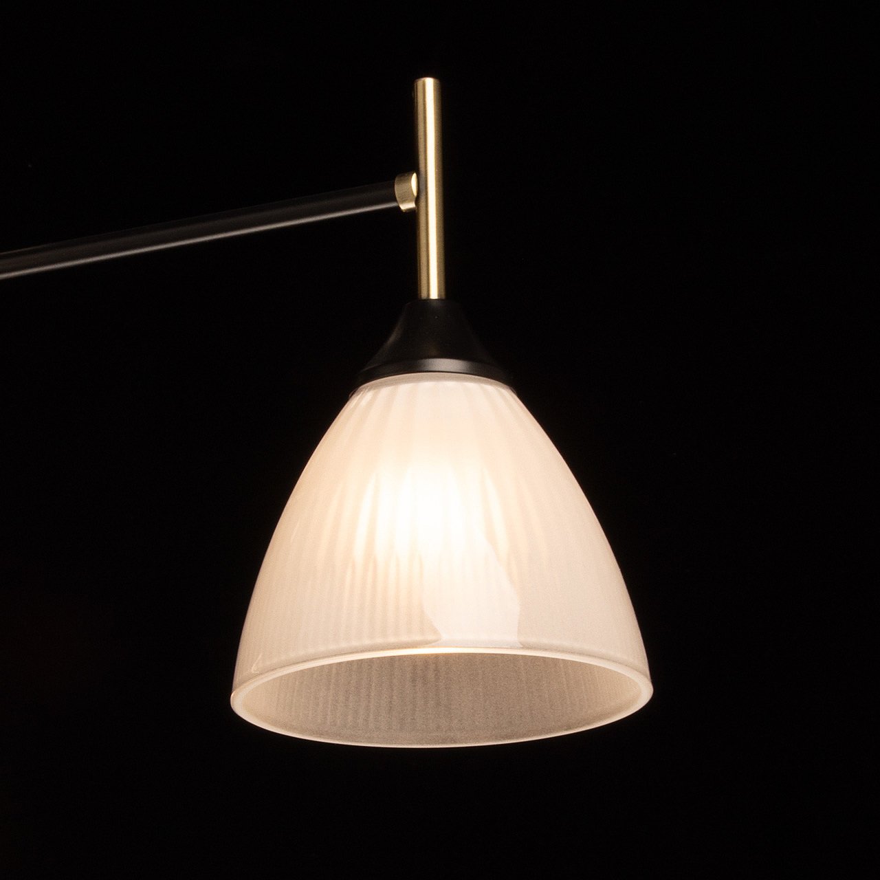 Потолочная люстра De Markt Дэла 116010405