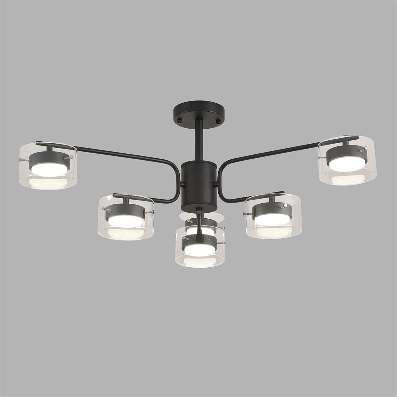 Потолочная люстра Lumion Natalina 8349/6C