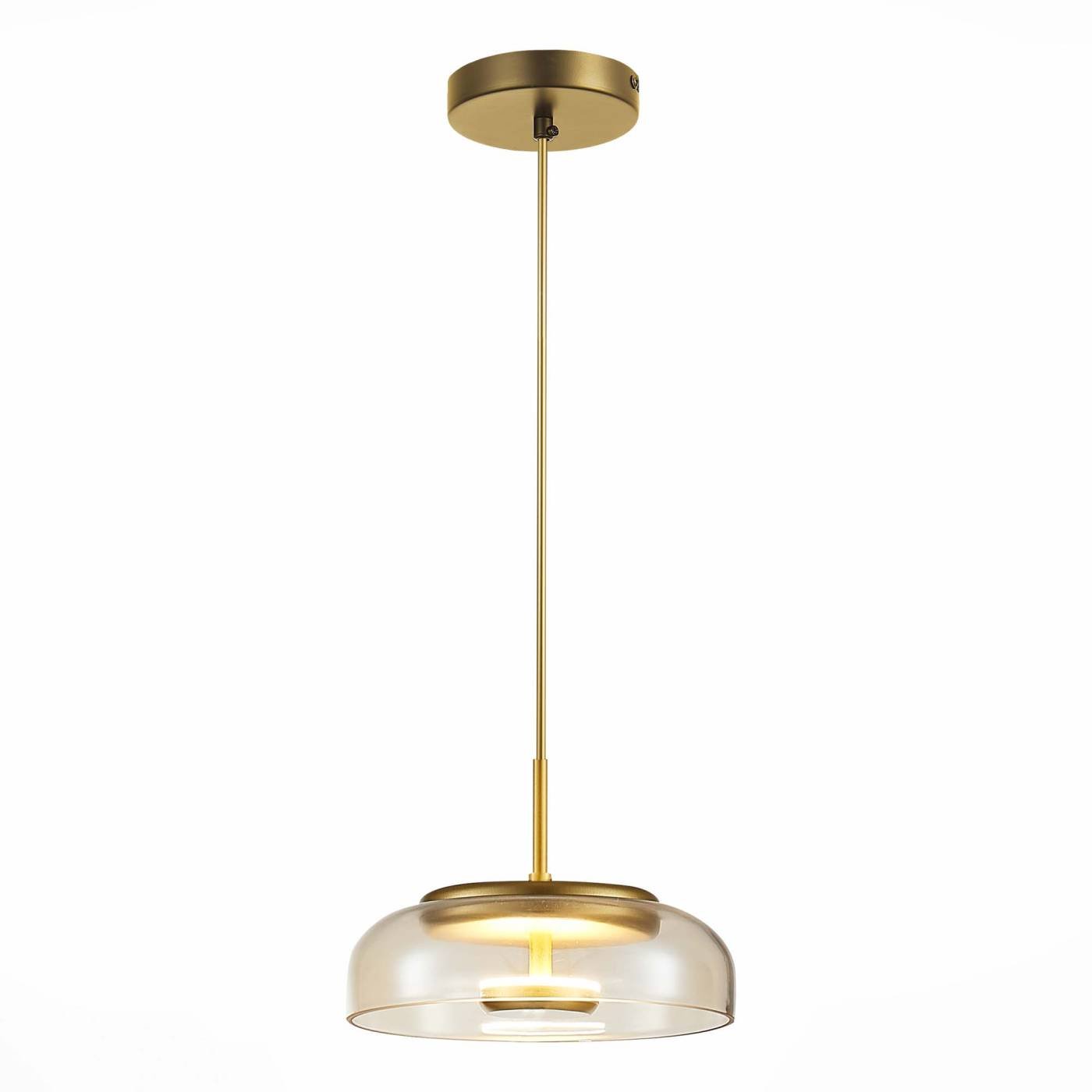 Светильник подвесной ST Luce Lazio SL6002.203.01