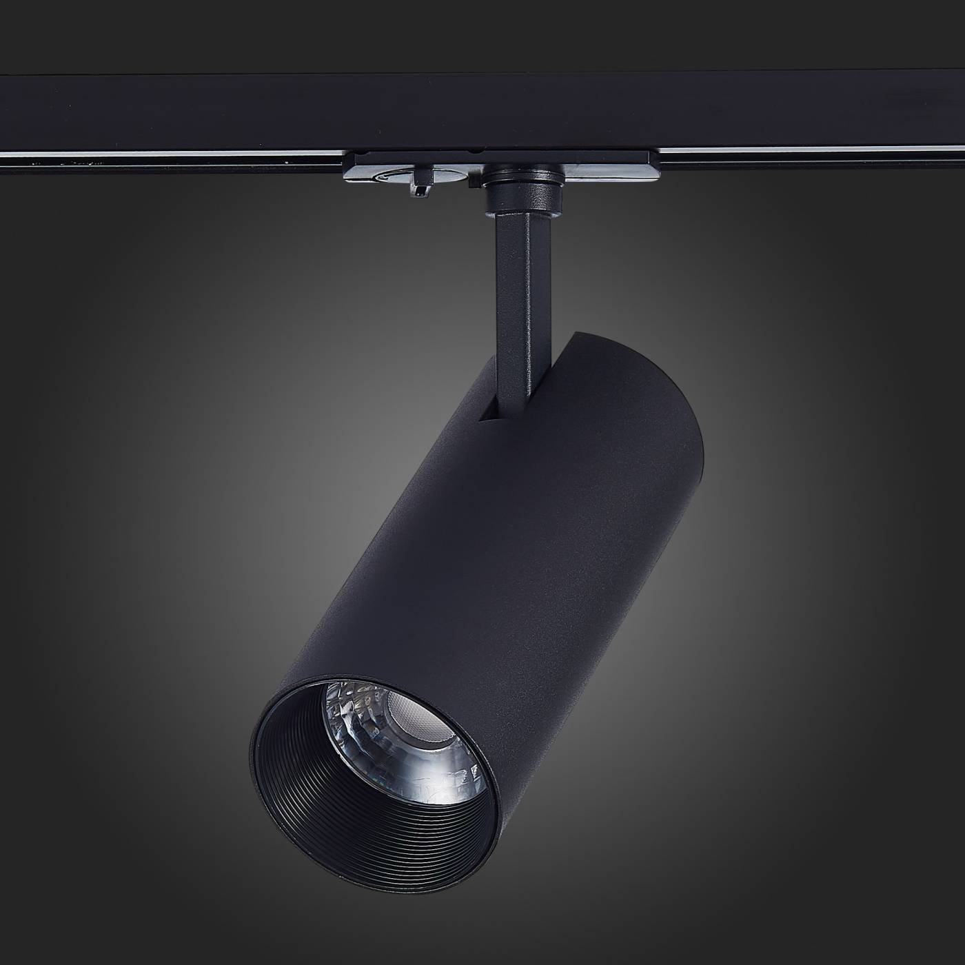 ST350.436.20.36 Трековый светильник ST Luce Mono ST350.436.20.36