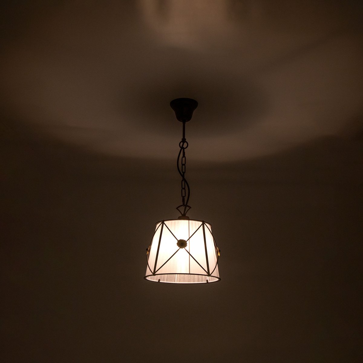 Светильник подвесной Citilux Дрезден CL409212