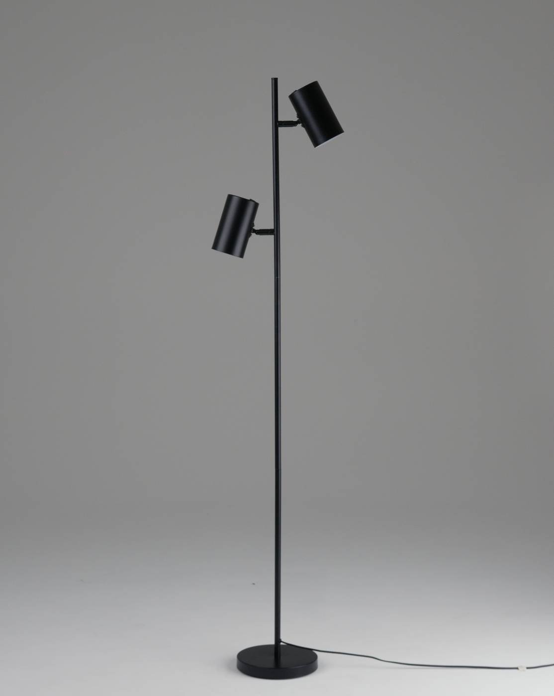 Торшер Moderli Ashes V11329-2F