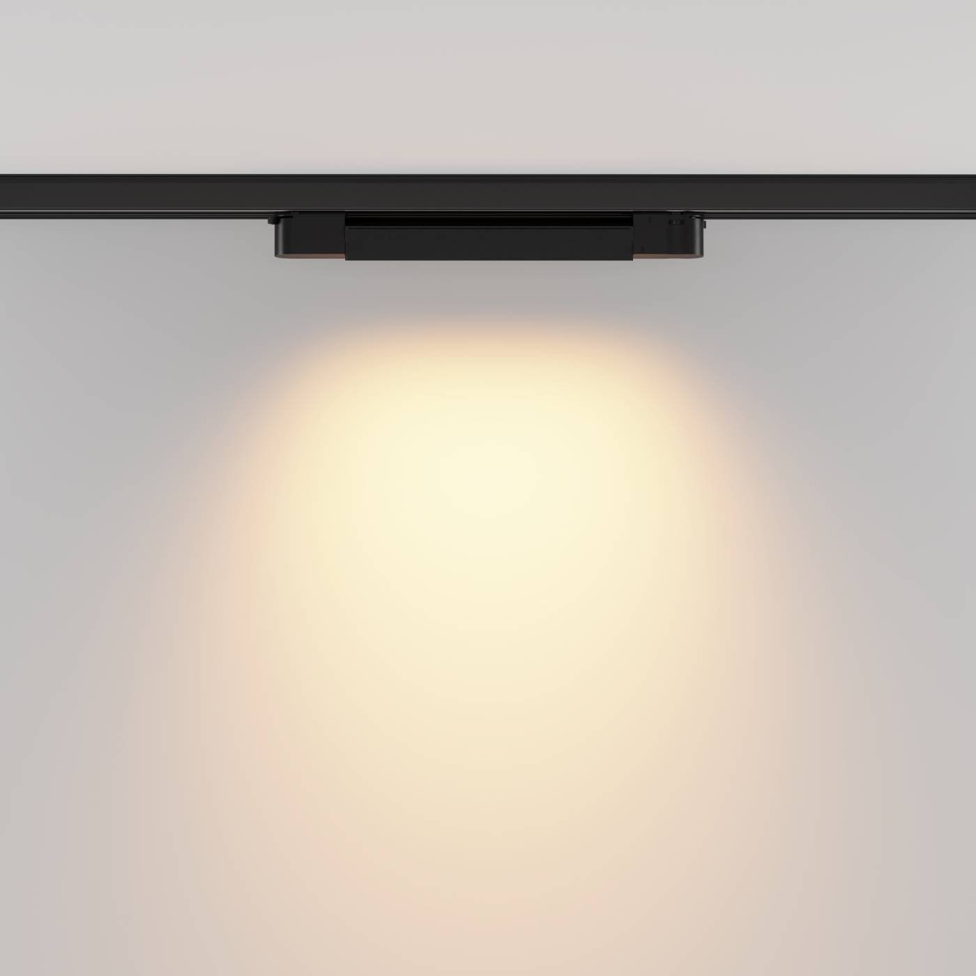 TR196-3-10W2.7K-B Трековый светильник Maytoni Basis TR196-3-10W2.7K-B