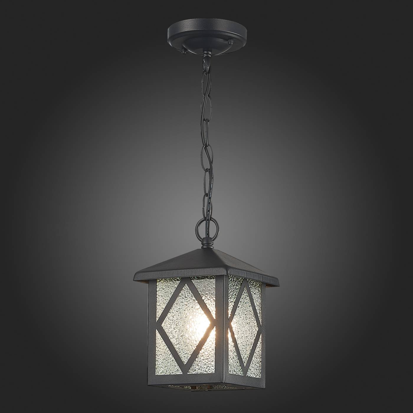 Уличный подвесной светильник ST Luce Lorne SL084.403.01