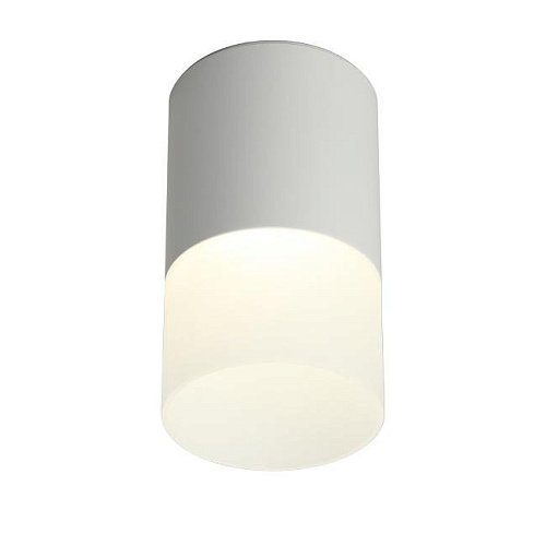 OML-100009-05 Накладной светильник Omnilux Ercolano OML-100009-05