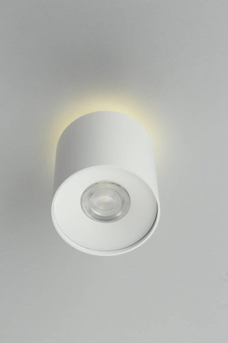 OML-100309-16 Накладной светильник Omnilux Torino OML-100309-16