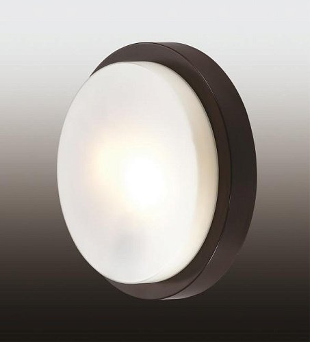 2744/2C Настенно потолочный светильник Odeon Light Holger 2744/2C
